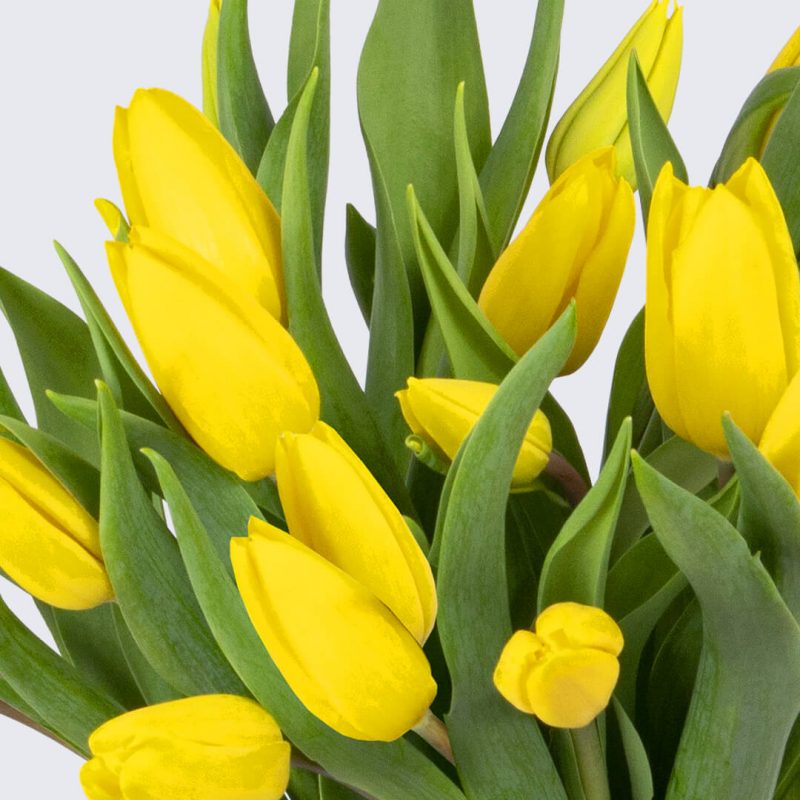 Detalle del ramo de tulipanes amarillos