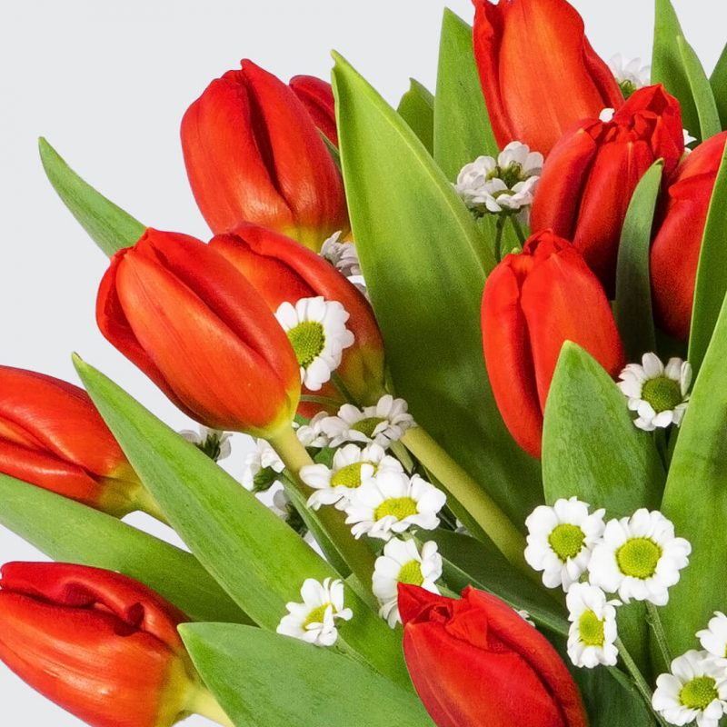 Detalle del ramo de tulipanes rojos