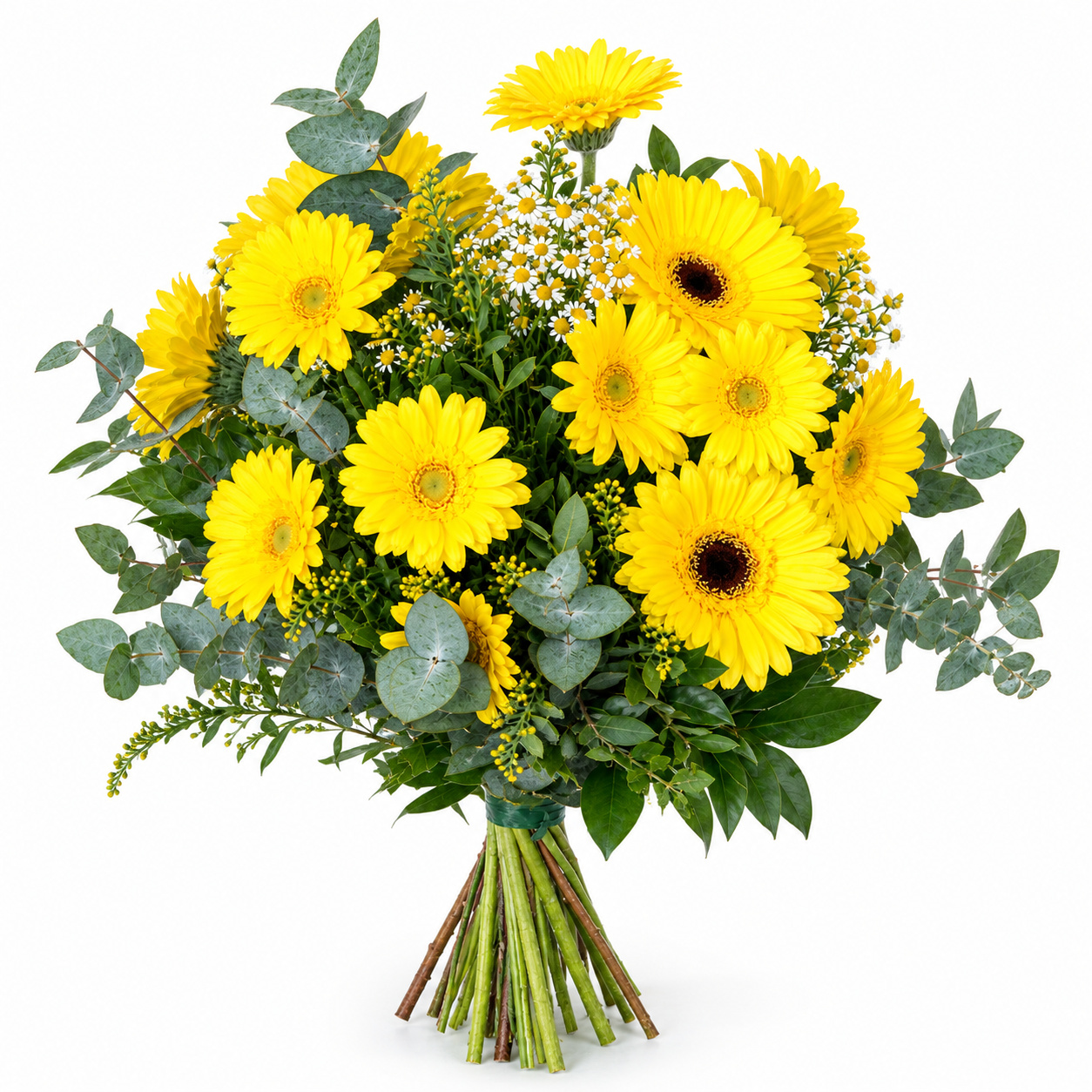 ramo de gerberas amarillas y manzanilla
